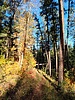 photo thumbnail #15