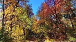 photo thumbnail #11
