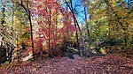 photo thumbnail #14