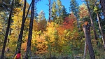 photo thumbnail #3