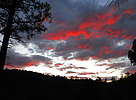 photo thumbnail #13