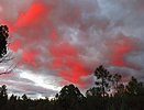 photo thumbnail #11