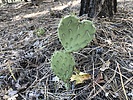 photo thumbnail #6