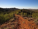 photo thumbnail #9