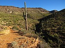 photo thumbnail #6
