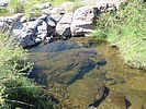 photo thumbnail #7