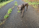 photo thumbnail #2