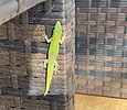 photo thumbnail #5