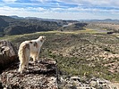 photo thumbnail #12