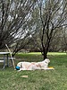 photo thumbnail #15