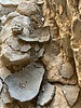 photo thumbnail #15