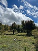 photo thumbnail #13