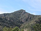 photo thumbnail #3