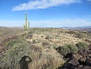 photo thumbnail #5