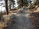 photo thumbnail #7
