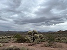 photo thumbnail #1