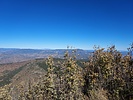 2022-10-31 :3: Wild and Blue :: DixieFlyer