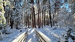 photo thumbnail #6