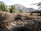 photo thumbnail #15