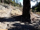 photo thumbnail #15