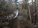 photo thumbnail #10