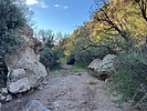photo thumbnail #6