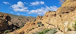 photo thumbnail #5