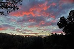 photo thumbnail #15