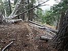photo thumbnail #11