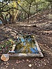 Featured Full Photo