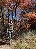 photo thumbnail #9