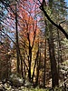 photo thumbnail #13