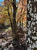 photo thumbnail #14