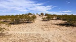 photo thumbnail #7