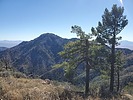 photo thumbnail #9