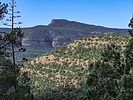 2022-10-17 :1: Salome Cyn Overlook Peak 5612 :: Grasshopper