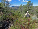 2022-10-17 :1: Salome Cyn Overlook Peak 5612 :: Grasshopper