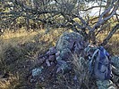 photo thumbnail #11