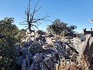 photo thumbnail #15