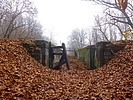 photo thumbnail #6