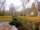 photo thumbnail #14