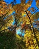 photo thumbnail #12