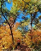 photo thumbnail #7