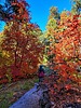 photo thumbnail #13