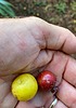 photo thumbnail #2