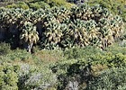 2022-11-10 :2: Hassayampa River Preserve :: LosDosSloFolks