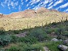 photo thumbnail #6