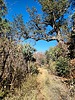 2022-11-12 :1: Reavis Ranch via 109 South :: joebartels