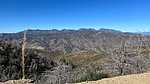 photo thumbnail #7