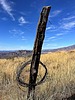 photo thumbnail #11